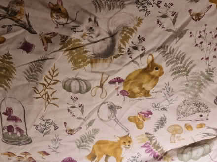 Photo of free King size duvet set, reversible, nature theme (Stratton Strawless NR10) #1