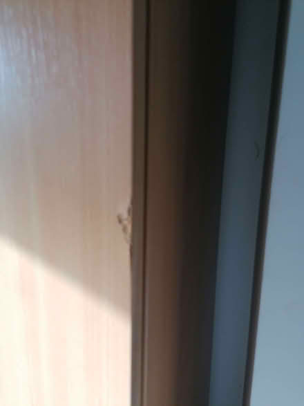 Photo of free Stationery cupboard (Springfield ME14) #2