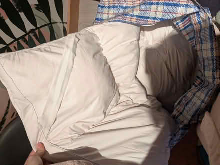 Photo of free Mattress topper feather and down (Bromham MK43) #1