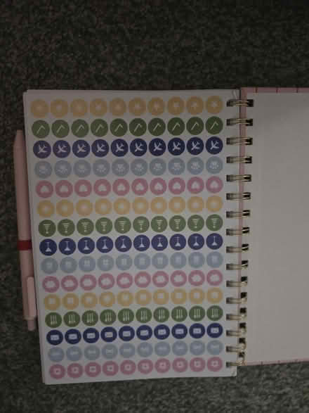 Photo of free 2026 diary (Tulse Hill SE24) #2