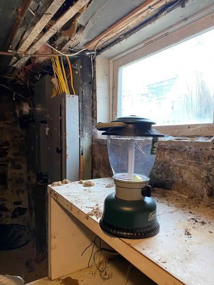 Photo of free Camping lantern (Lowell and highland) #1