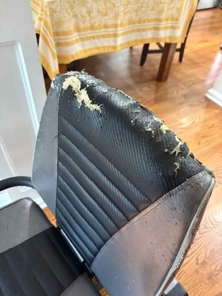 Photo of free Recumbent bike (Northshore Chattanooga) #1