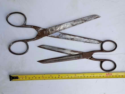 Photo of free Decorating scissors (Lansdown) #1