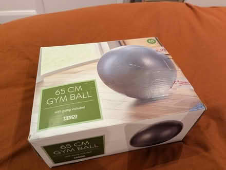 Photo of free Tesco 65 cm gym ball and pump (Kennington SE11) #1