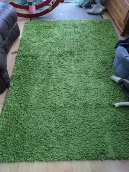 Photo of free Green shaggy rugs (TN24) #1