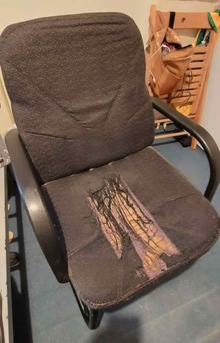 Photo of free Armchair (North Kensington W10) #1