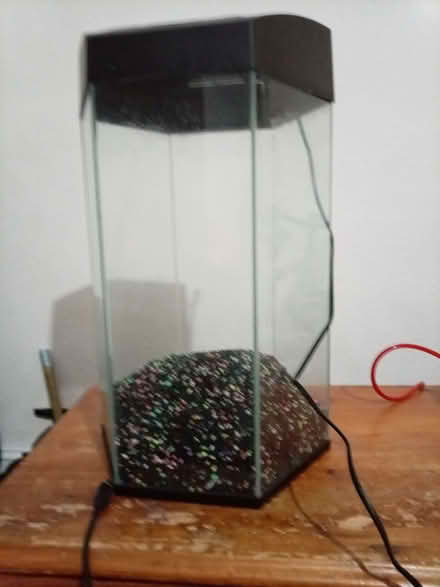 Photo of free Fish tank (Highbury N5) #1