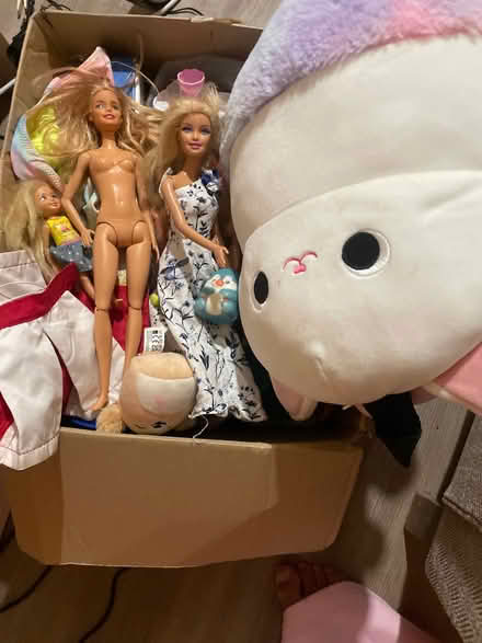 Photo of free Box of toys, some barbies, soft toys, soft back pack, small (Elmdon Heath B91) #1
