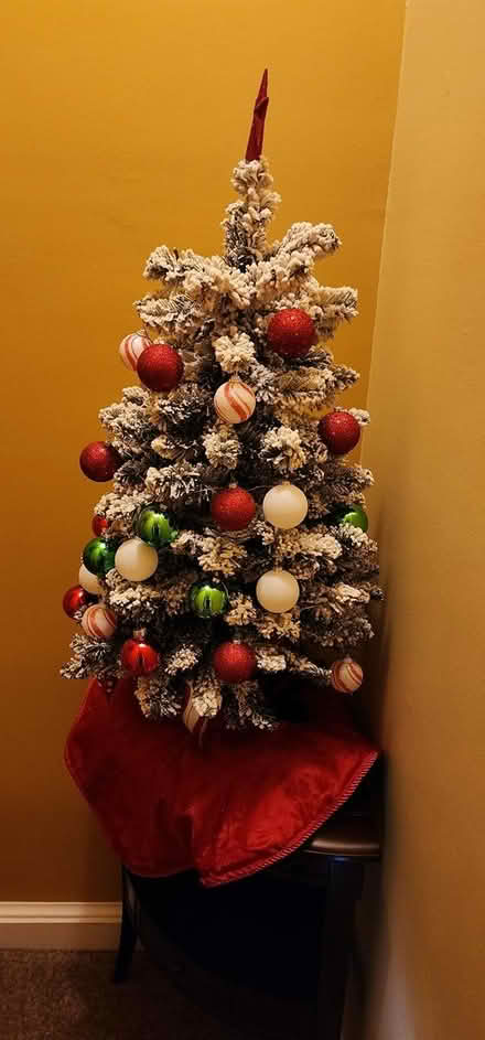 Photo of free 4 inch Christmas Tree prelit (Waldorf) #1