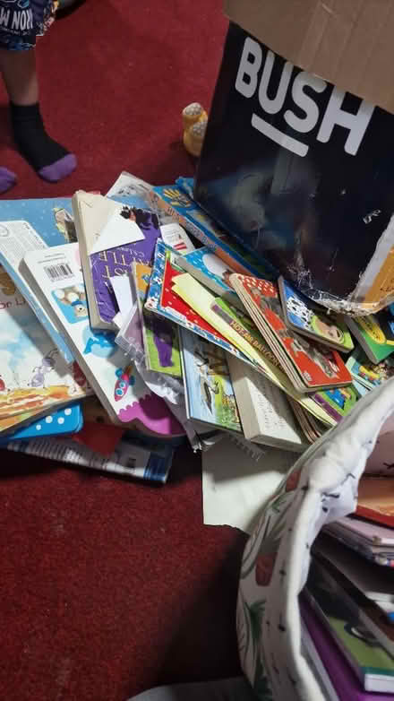 Photo of free Toys and books for 0 till 6 (yardley B9) #2