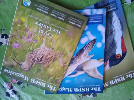 Photo of free Magazines (DA12) #3