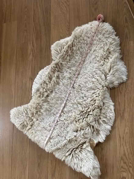 Photo of free Sheepskin rug (Cox Green SL6) #1
