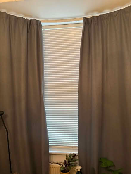 Photo of free Black out curtains (Montpelier Road area BN3) #1