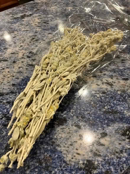 Photo of free FRESH camomile tea (Prospect and DeAnza) #1