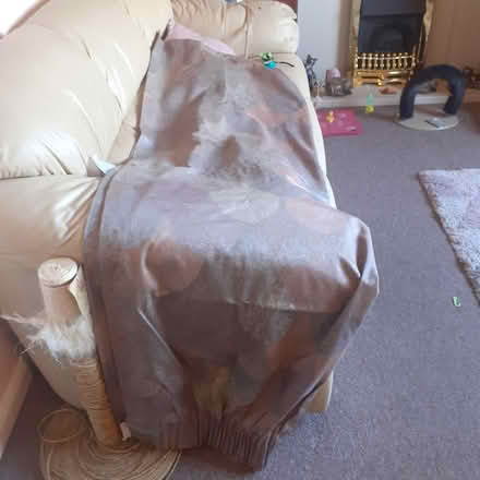 Photo of free Large single fully lined curtain (Livingston EH54) #3