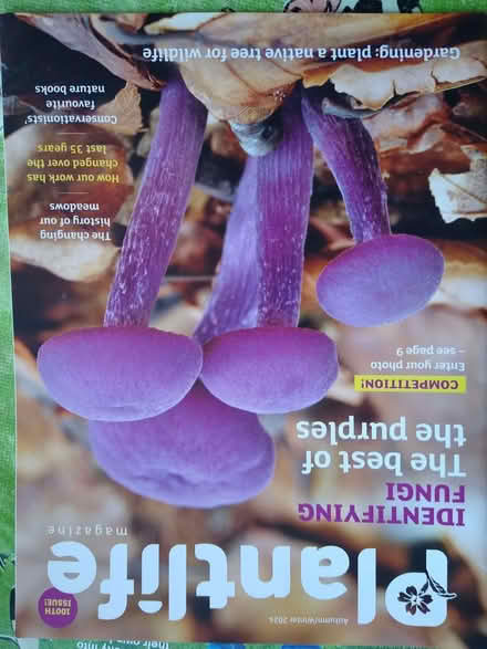 Photo of free Magazines (DA12) #1