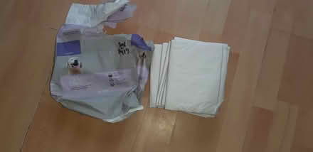 Photo of free 8 puppy potty training pads (Perivale) #1
