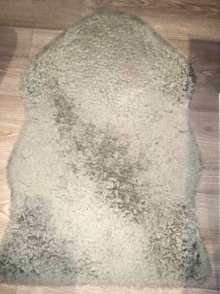 Photo of free IKEA rug (Greenwich MV, SE10) #1