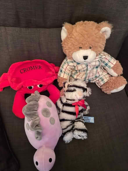 Photo of free Teddy bundle (more have been added) (Thringstone LE67) #1