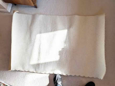 Photo of free Rug fragment (West Berkeley) #1