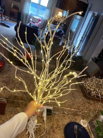 Photo of free (2) White LED branches (Mason) #1