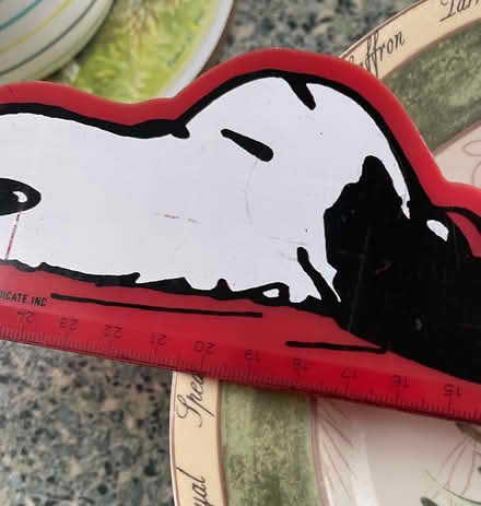 Photo of free Oven and dishwasher proof crockery (Maldon CM9) #3