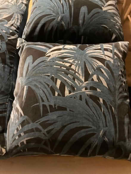 Photo of free 3 cushions House of Holland fabric (Kingston KT2) #1