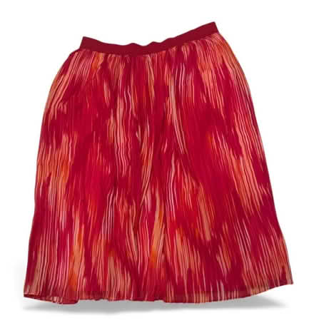 Photo of free Woman’s Skirt (Brooklyn Storage) #1