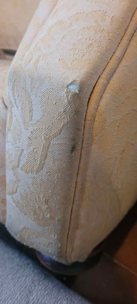 Photo of free Comfy chair (Weston SY7) #1