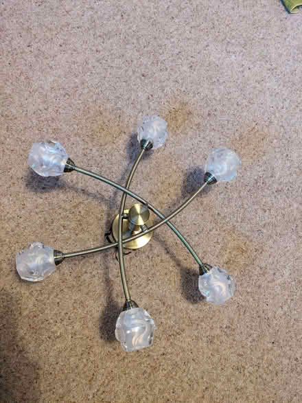 Photo of free Two ceiling light clusters (Rowney Green B48) #3