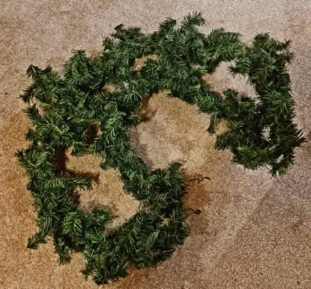 Photo of free Four lengths of Xmas fir decor (Purbrook) #2