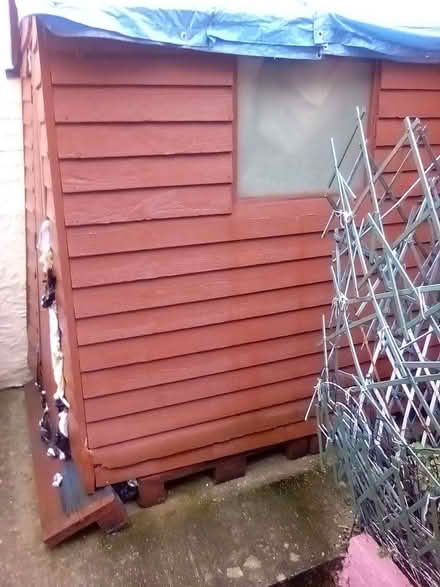 Photo of free 6ft x 4 ft Cottage Garden shed (Lower Bevendean BN2) #1