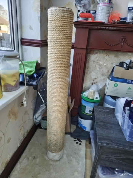 Photo of free Cat scratching post tower (Sheffield) #1