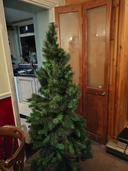 Photo of free Christmas tree (Tilehurst) #1