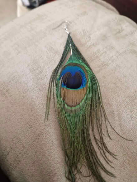 Photo of free One single peacock ear ring (New) (Vicars Cross CH3) #1