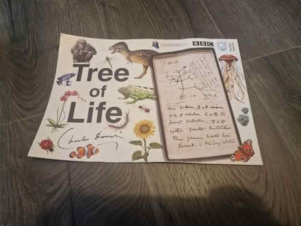 Photo of free BBC Tree of life poster (Whitchurch) #2