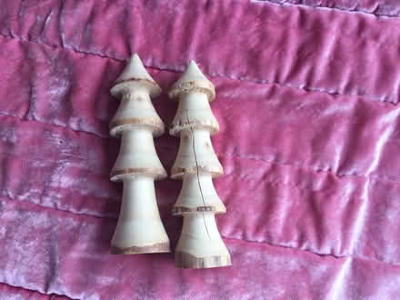 Photo of free Wooden trees (CH48) #1