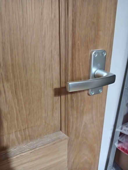 Photo of free Internal wooden door (Reading West RG1) #3