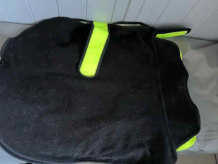 Photo of free Dog Coat (Titchfield Common PO14) #4