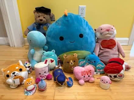Photo of free Stuffed Plushies (Fair Lawn, NJ) #1