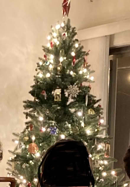 Photo of free Pre-lit Christmas Tree (Willow Glen) #1