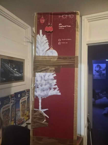 Photo of free 6ft white tree (Chattenden) #1