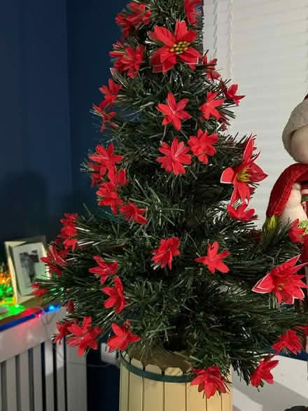 Photo of free Xmas decorations (Rathfarnham) #1