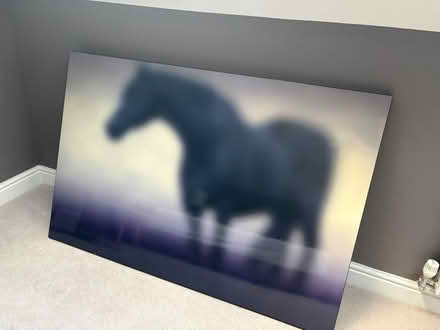 Photo of free Large horse picture (Great shelford CB22) #1