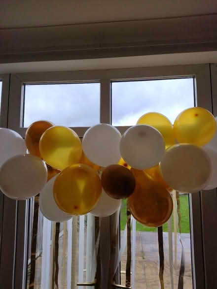 Photo of free Air filled balloons (West Bridgford, NG2) #1