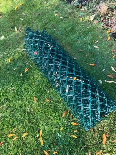 Photo of free Chain link fencing (HP27 Lacey Green) #1