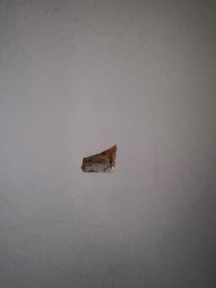 Photo of free IKEA Smasted Loft Bed (Snodland ME6) #2