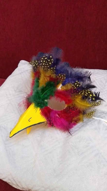 Photo of free Bird mask (Risinghurst OX3) #3