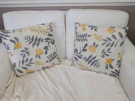 Photo of free Sofa pillow cases (Orton Goldhay PE2) #1