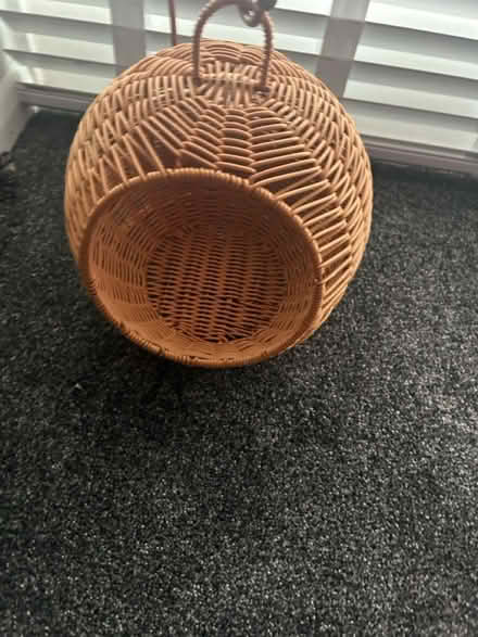 Photo of free Bird home for pet bird (E3) #2